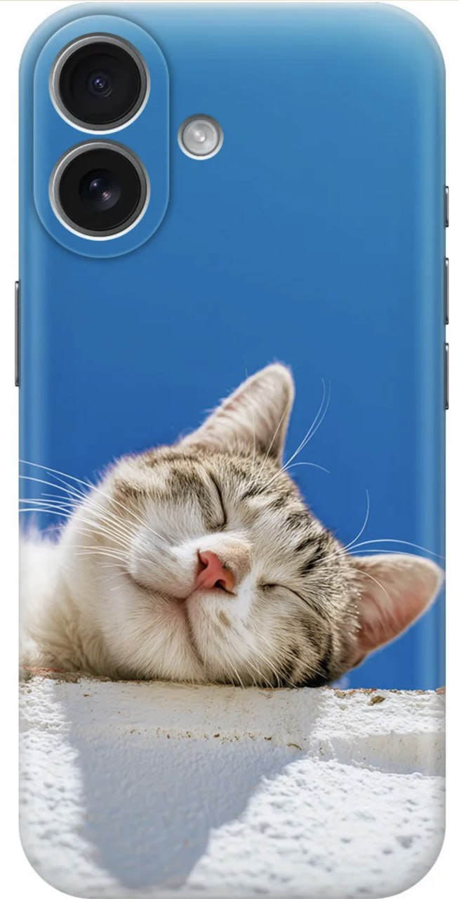 Чехол на iPhone 17 (PROCats) Синий