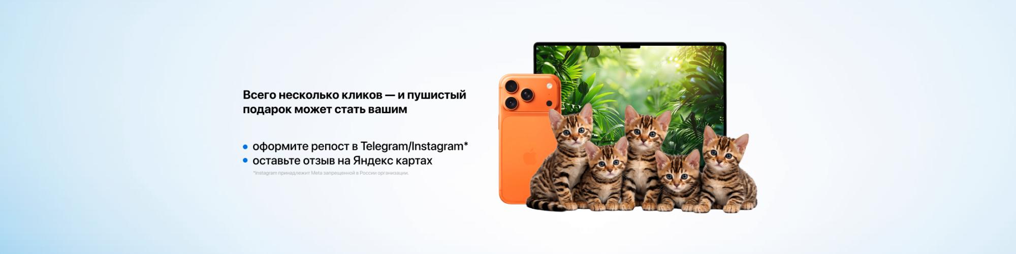 Конкурс пушистый друг Конкурс пушистый друг